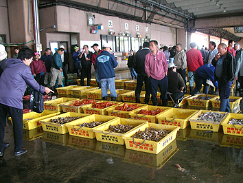 Choshi Fishing Port