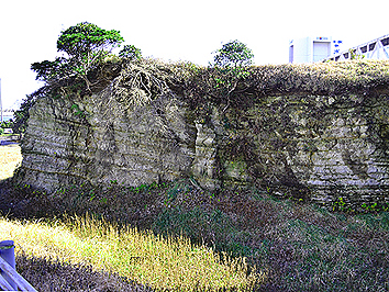 Medogahana Cliff